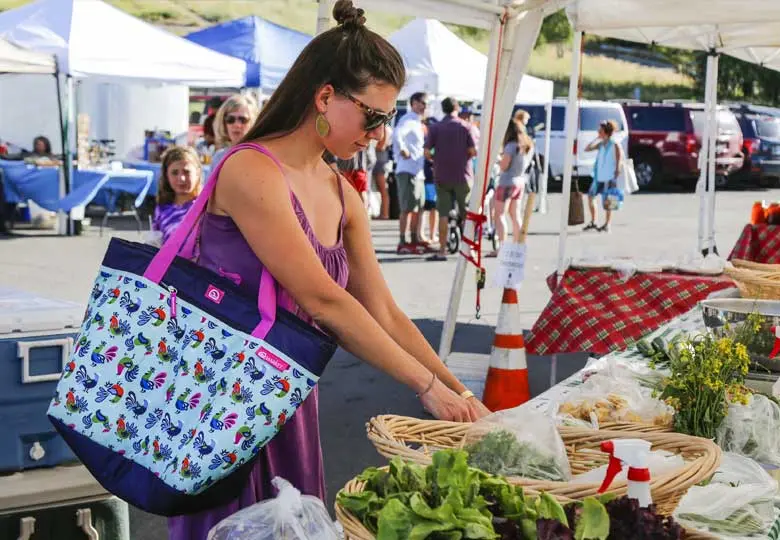 Cấu tạo túi giữ lạnh và cách kéo dài thời gian giữ lạnh