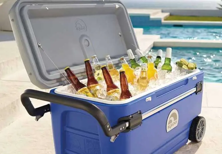 Tẩy mùi hôi của thùng đá và rửa sạch túi giữ lạnh