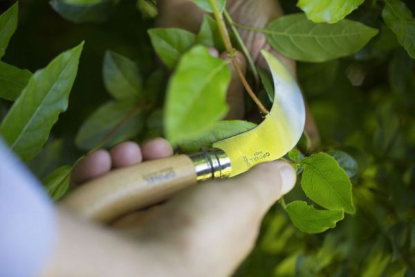 Dao tỉa cành Opinel No.10 Billhook